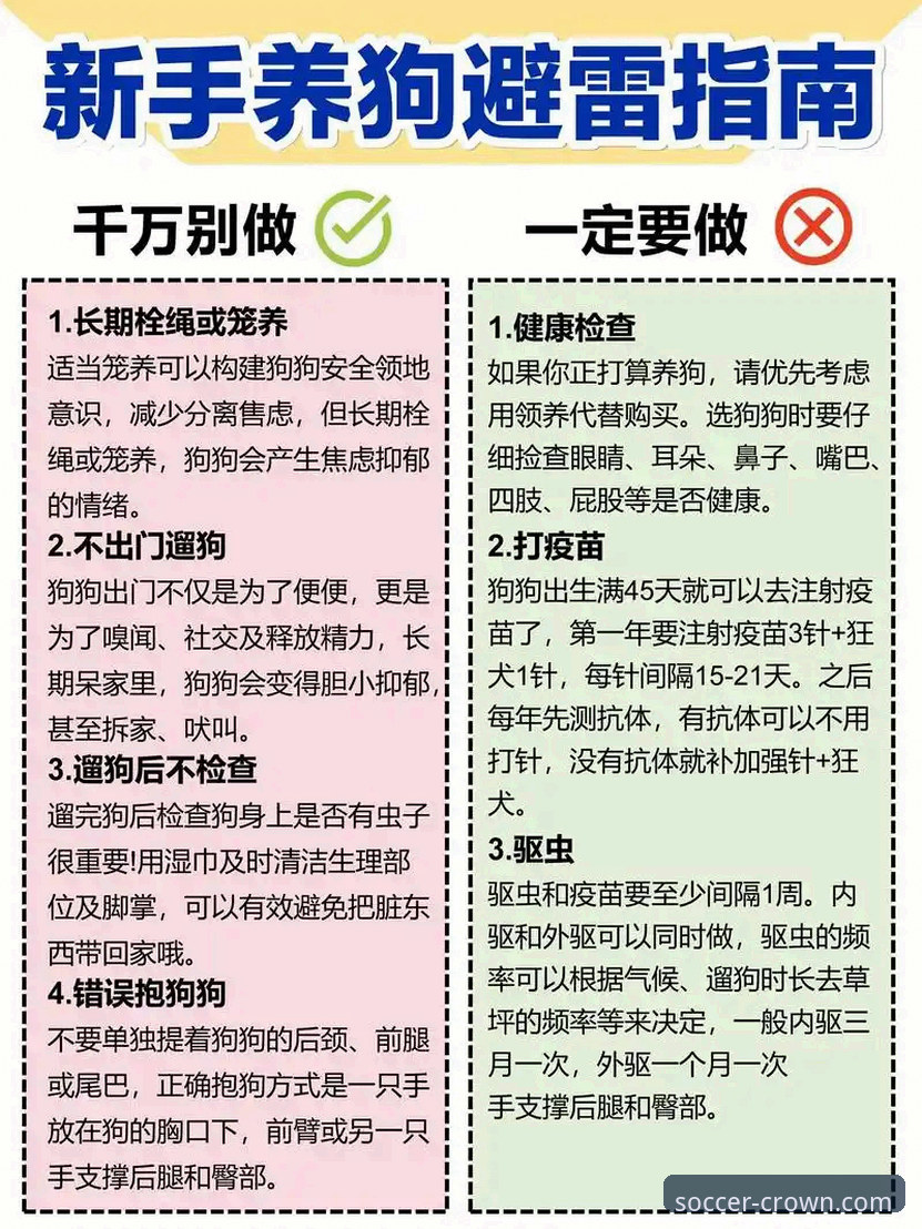 皇冠足球登录入口对比 资深用户亲测:皇冠足球登录入口对比,如何选对版本少走弯路