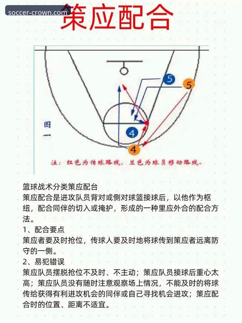 中国女篮战术调整与关键球员表现详解